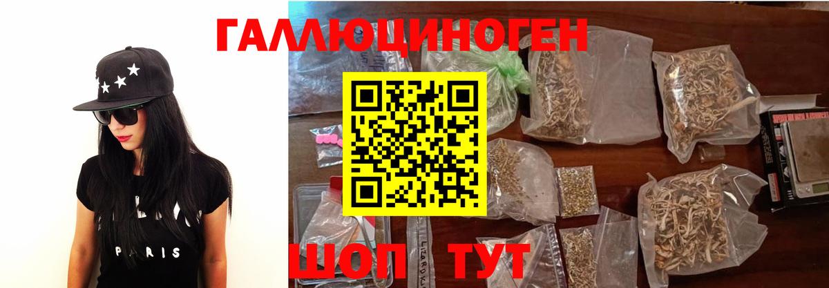 Псилоцибиновые грибы Cubensis Сунжа