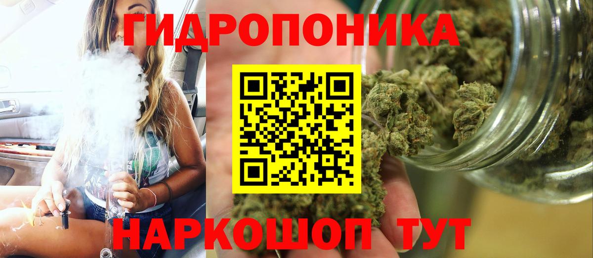 Канабис планчик  Марихуана THC 21%  Сунжа  Вход с VPN 